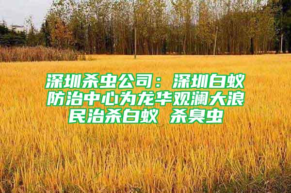 深圳殺蟲公司:深圳白蟻防治中心為龍華觀瀾大浪民治殺白蟻 殺臭蟲