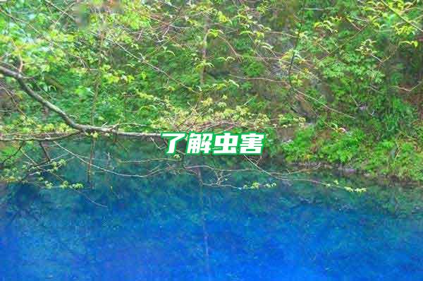 了解蟲(chóng)害