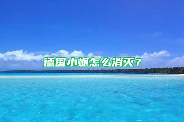 德國小蠊怎么消滅?