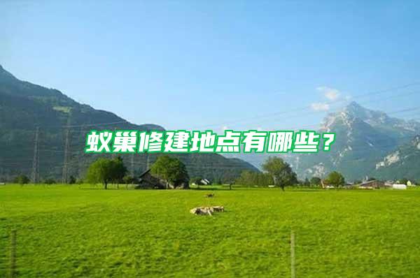蟻巢修建地點有哪些？