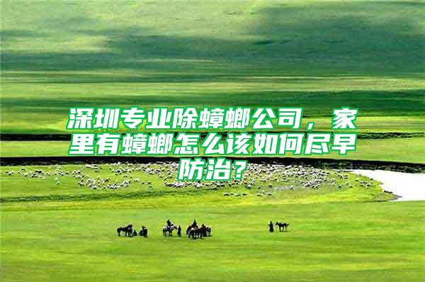 深圳專業(yè)除蟑螂公司,家里有蟑螂怎么該如何盡早防治?
