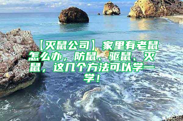【滅鼠公司】家里有老鼠怎么辦，防鼠、驅鼠、滅鼠，這幾個方法可以學一學！