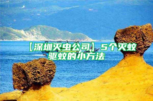 【深圳滅蟲公司】5個滅蚊驅(qū)蚊的小方法