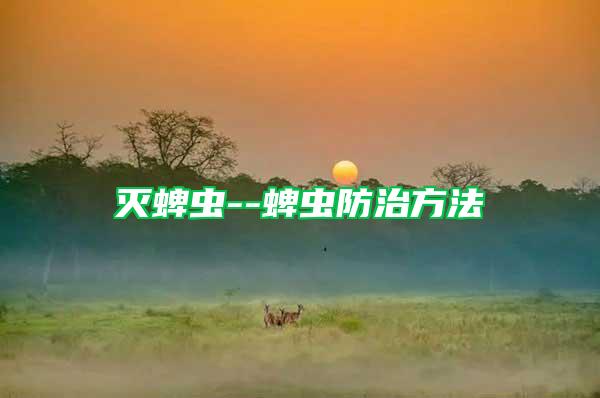 滅蜱蟲--蜱蟲防治方法