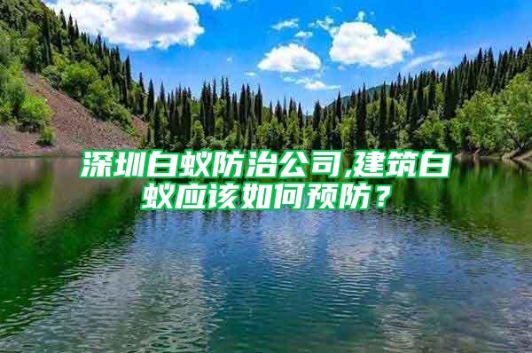 深圳白蟻防治公司,建筑白蟻應(yīng)該如何預(yù)防?
