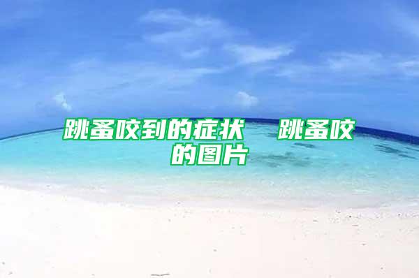 跳蚤咬到的癥狀 跳蚤咬的圖片