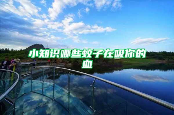 小知識哪些蚊子在吸你的血