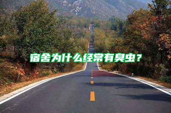 宿舍為什么經常有臭蟲?