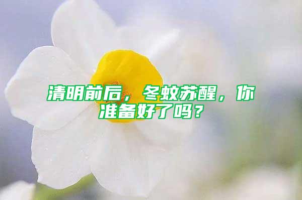清明前后,冬蚊蘇醒,你準備好了嗎?