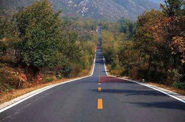 家里發現螞蟻怎么辦?怎么消滅螞蟻?