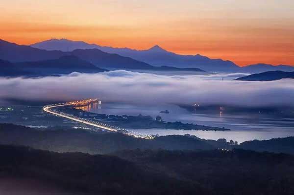 殺蟲公司與人民生產生活息息相關