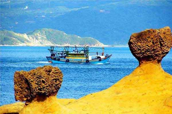 養(yǎng)豬場(chǎng)的滅鼠方法及危害