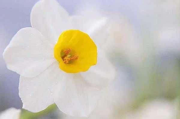 幼兒園防蟲要怎么做？消殺公司來教你