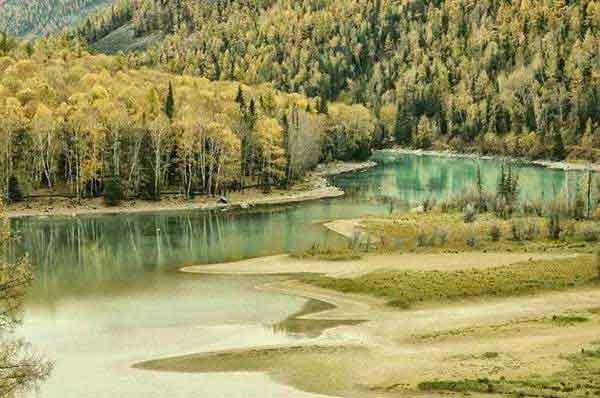 如何正確消滅進(jìn)入家里的螞蟻？專業(yè)滅螞蟻公司告訴你