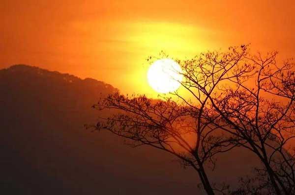 家庭蟲(chóng)害進(jìn)入的渠道