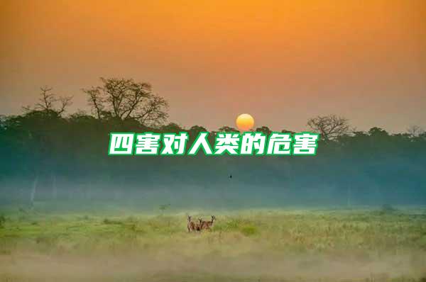 四害對人類的危害