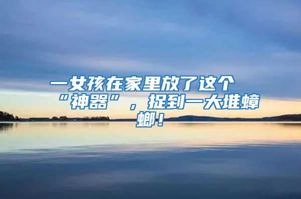 一女孩在家里放了這個“神器”，捉到一大堆蟑螂！