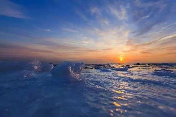 蜱蟲咬后癥狀似“感冒”,請引起十二萬分警惕!