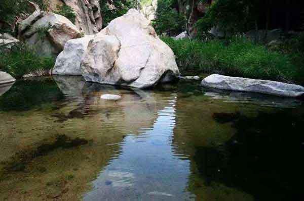 春季愛國衛生運動,你“除四害”了嗎?