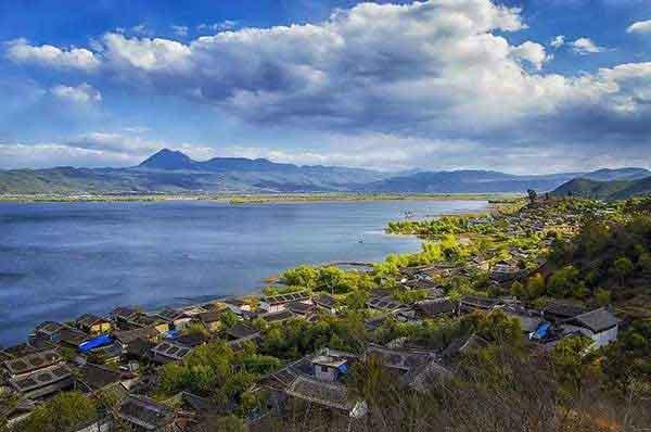 新房裝修需要做防白蟻處理。