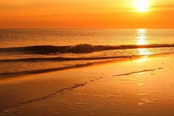 多雨季節蚊子繁殖進入高峰期