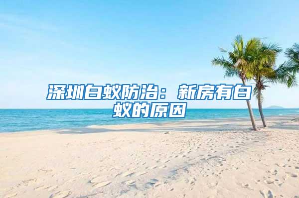 深圳白蟻防治:新房有白蟻的原因
