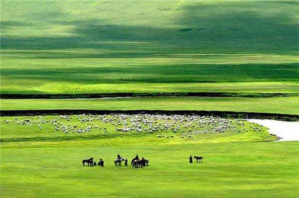 鼠類的生活習(xí)性