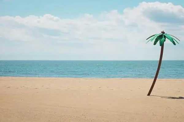 【深圳除蟲(chóng)公司】人們對(duì)滅蟑螂認(rèn)識(shí)的誤區(qū)