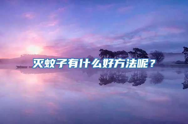 滅蚊子有什么好方法呢？