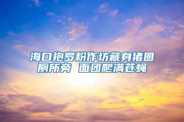 海口抱羅粉作坊藏身豬圈廁所旁 面團(tuán)爬滿蒼蠅