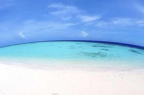 立夏過后,怎么預防蚊蟲叮咬?