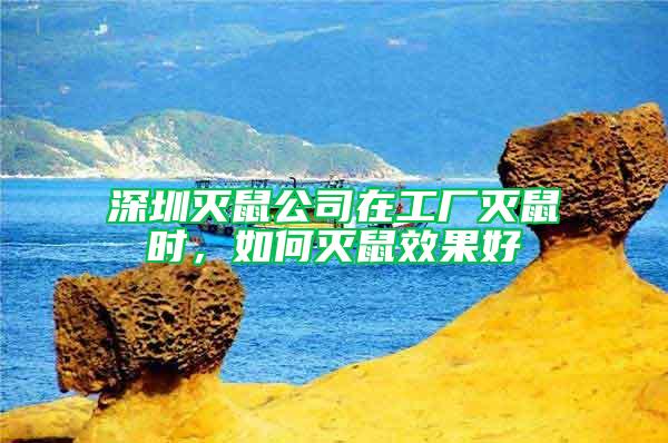 深圳滅鼠公司在工廠滅鼠時(shí),如何滅鼠效果好