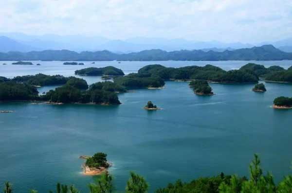 深圳殺蟲公司提示:美逾千人感染“蚊子病毒”