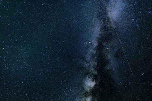 深圳除蟲公司超市滅老鼠的防控重點