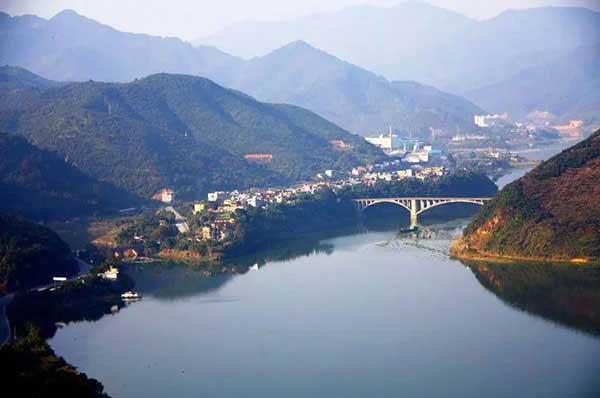 如何選擇專業(yè)的殺蟲公司?