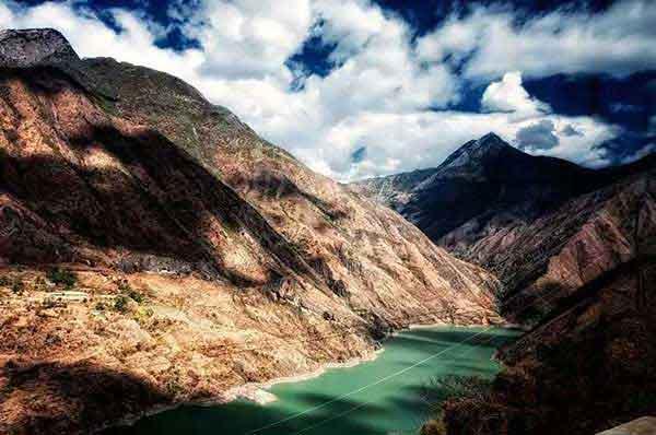 蜱蟲和蚜蟲的區別