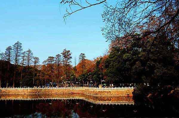 晚上睡覺出來咬人吸血的蟲子,發現黑色小蟲是臭蟲,如何有效的滅臭蟲的方法