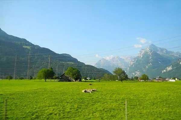 【滅老鼠公司】奇聞!印度人竟把老鼠當作神靈供奉喂養?!