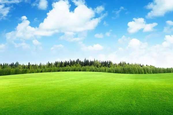 全國(guó)除四害標(biāo)準(zhǔn)