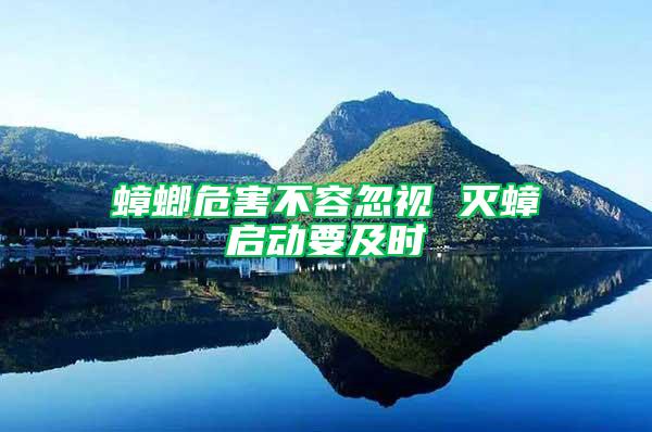 蟑螂危害不容忽視 滅蟑啟動要及時