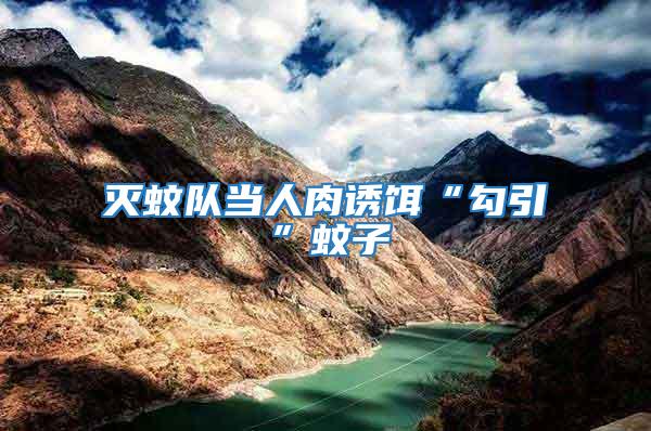 滅蚊隊(duì)當(dāng)人肉誘餌“勾引”蚊子