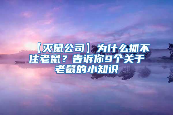 【滅鼠公司】為什么抓不住老鼠?告訴你9個關(guān)于老鼠的小知識