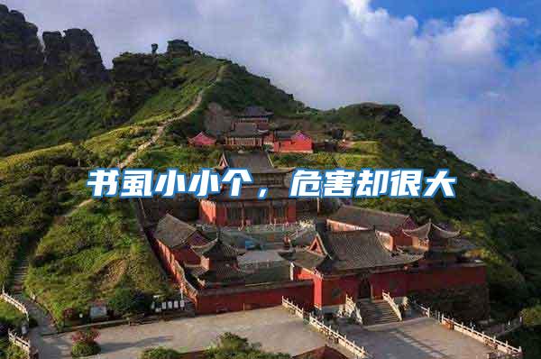 書虱小小個，危害卻很大