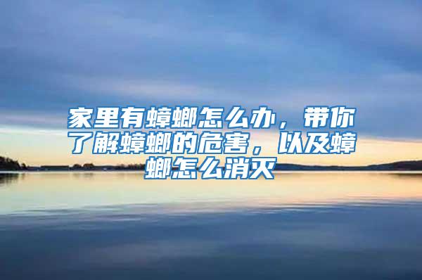 家里有蟑螂怎么辦，帶你了解蟑螂的危害，以及蟑螂怎么消滅