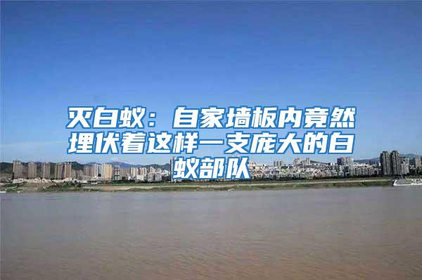 滅白蟻:自家墻板內竟然埋伏著這樣一支龐大的白蟻部隊