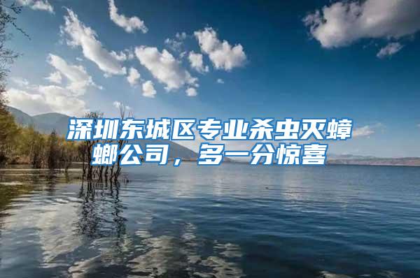 深圳東城區專業殺蟲滅蟑螂公司，多一分驚喜