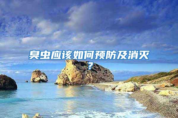 臭蟲應該如何預防及消滅?