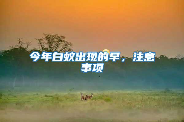 今年白蟻出現(xiàn)的早，注意事項(xiàng)