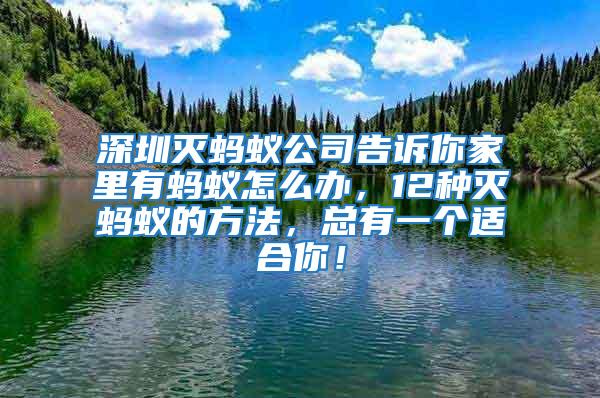 深圳滅螞蟻公司告訴你家里有螞蟻怎么辦,12種滅螞蟻的方法,總有一個(gè)適合你!
