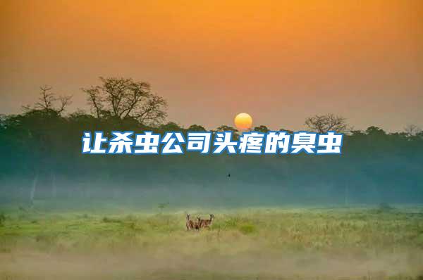 讓殺蟲(chóng)公司頭疼的臭蟲(chóng)